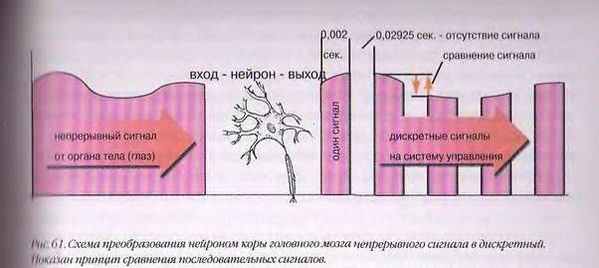 скриншот из книги Бабикова