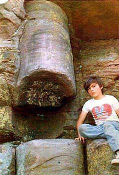 Полистратная окаменелость дерева, пронизывающая сразу несколько угольных слоев