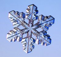 Вот тебе и звезда Давида...и удивительные свойства воды...