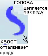 вар 2