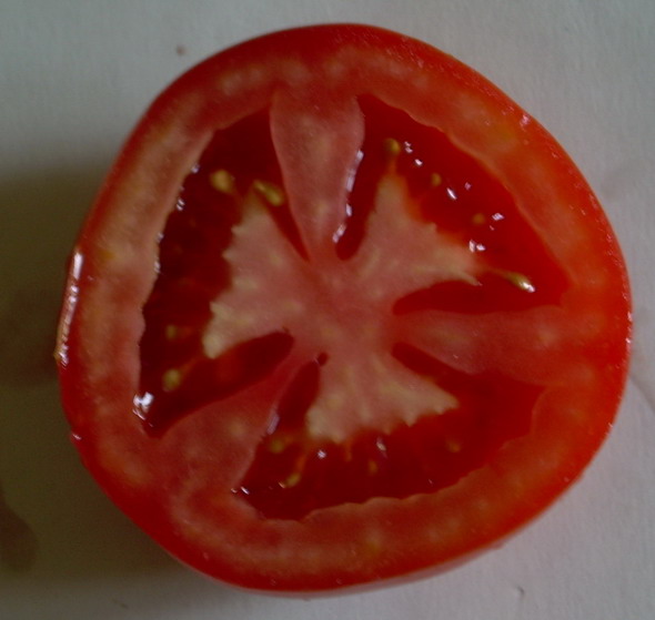 А вот оно и пространство с мерностью 3,14, да ещё и в двоичном коде....