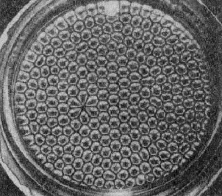 Ячейки Бенара