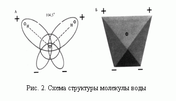 Рис. 2. Схема структуры молекулы воды